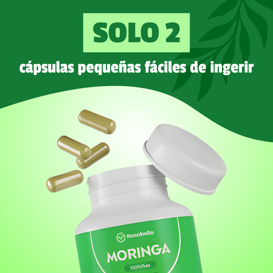 MORINGA ROSABELLA